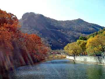 正新澳门二四六天天彩，秦岚 陆川